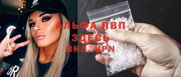 индика Абинск