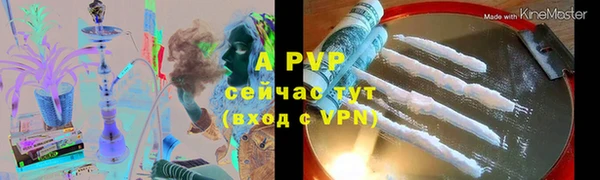 стаф Абаза