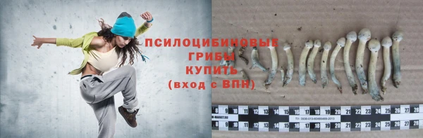 стаф Абаза
