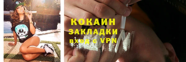 индика Абинск