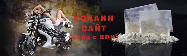 индика Абинск