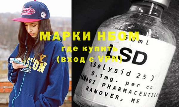 индика Абинск