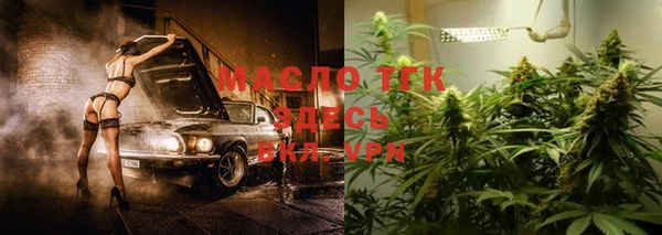 индика Абинск