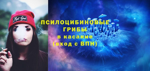 стаф Абаза