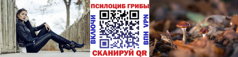 Галлюциногенные грибы Magic Shrooms  Болохово 
