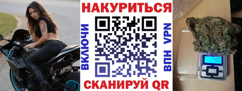 Шишки марихуана конопля  Болохово 